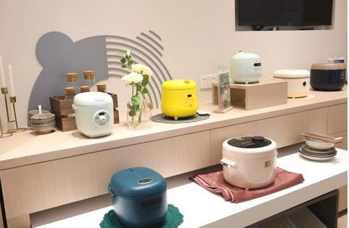 失去了年輕人的寵愛，小家電行業該如何破局？